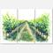 Designart - Rural Scene Vineyard Road - Traditional Canvas Wall Art Print